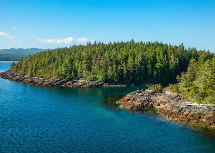 Rocky shore on Pacific Ocean West Coast. Sunny Day. Vancouver Island, BC, Canada. Nature Background Panorama